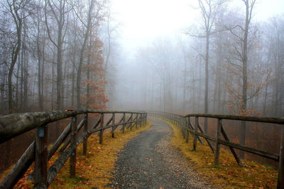 Scenic view of trees during foggy weather