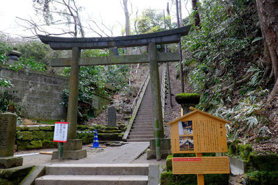 Walkway along trees