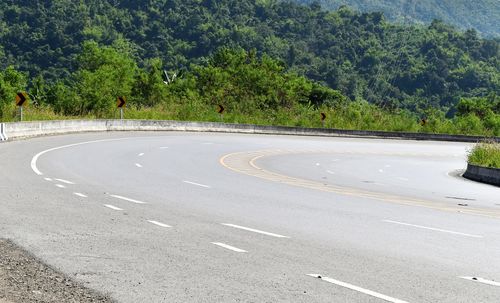 Road by trees and plants in city