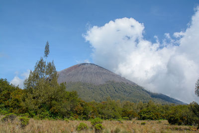 Scenic view of volcanic mountain against sky