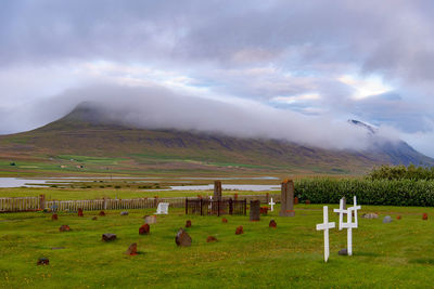 Scenic view of field against sky