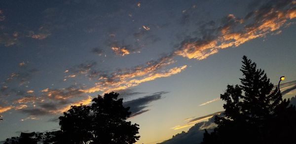 Low angle view of silhouette trees against sky during sunset