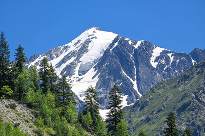 Scenic view of snowcapped mountains against clear blue sky