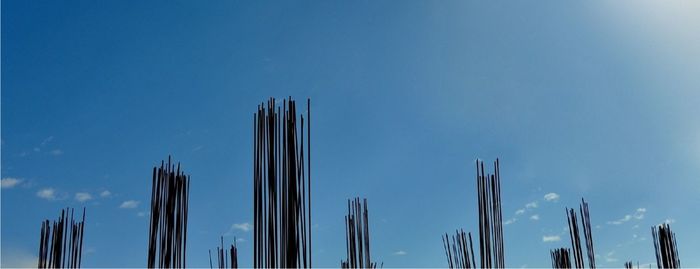 Low angle view of trees against blue sky