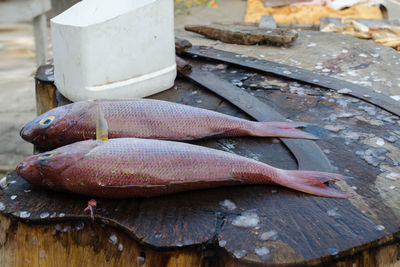 High angle view of fish on table