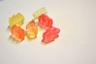 Close-up of red roses on white background