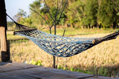 hammock