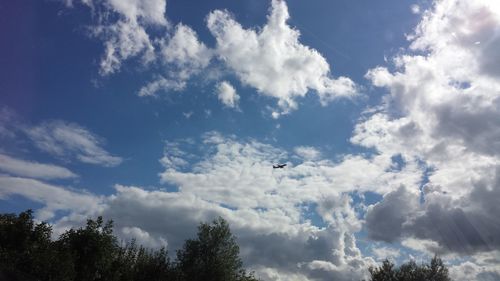 Low angle view of birds flying against sky