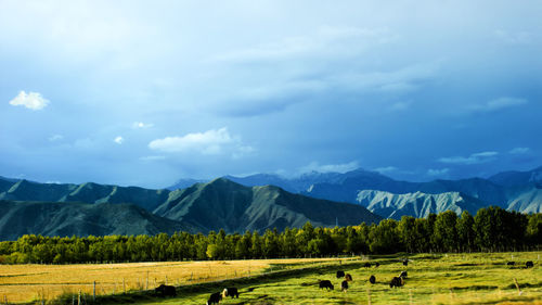 Scenic view of mountains against sky