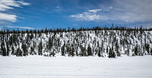 Scenic view of snow covered land against sky