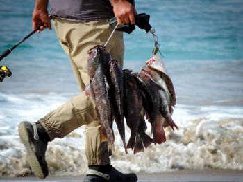 Low section of man with fish walking at beach during sunny day