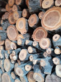 Full frame shot of logs in forest