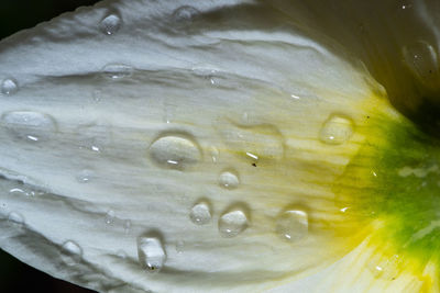 Close-up of water drops on glass