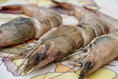 High angle view of dead fish on table