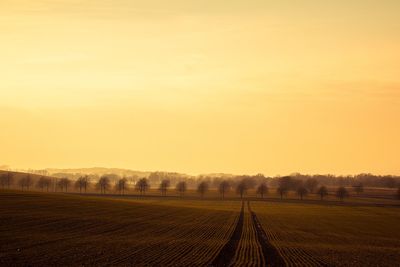 Scenic view of agricultural field against sky during sunset