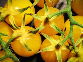 Close-up of fruits