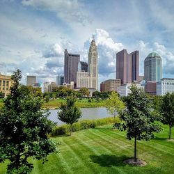 Trees and buildings in city against sky