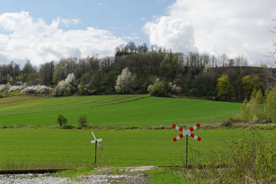 Scenic view of field against sky