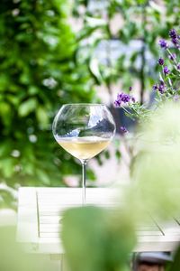 Close-up of champagne flute