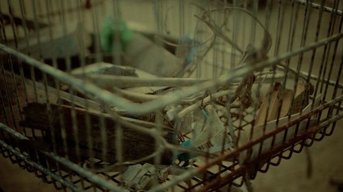 Close-up of metal grate