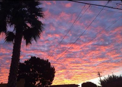 Low angle view of silhouette palm trees against sky