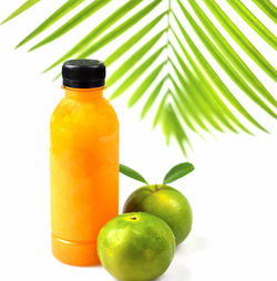 Close-up of green fruit against white background