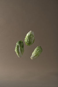 Romaine lettuce with brown background