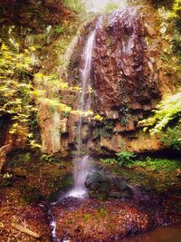 Scenic view of waterfall in forest