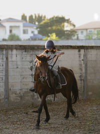 Asian school kid girl with horse ,riding or practicing horse ridding at horse ranch.