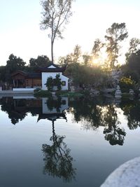 Reflection of trees in water