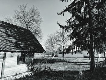 Bare trees and houses on field against sky