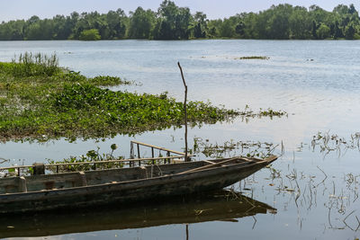 Scenic view of lake against trees