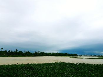 Scenic view of field against sky