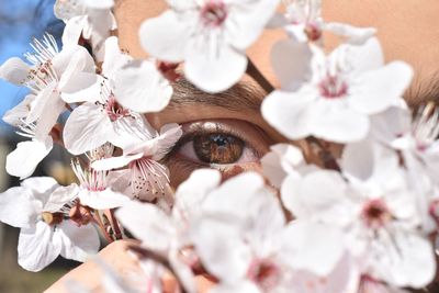 Close-up of human eye seen through flowers outdoors