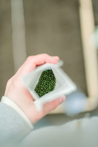 Cropped hand of woman holding marijuana