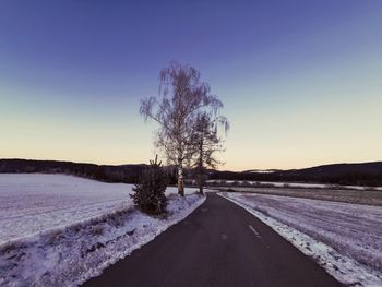 Road amidst trees on field against clear sky during winter