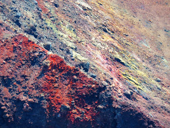 Full frame shot of lichen on rock