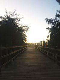 Walkway amidst trees against sky