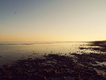 Scenic view of sea against sky at sunset