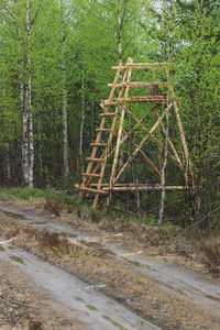 Metallic structure on road amidst trees in forest