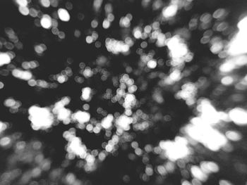 Defocused image of illuminated tree