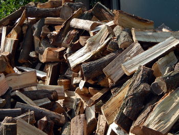 Stack of logs in forest