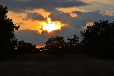 Silhouette of trees on field at sunset