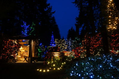 Illuminated christmas tree at night
