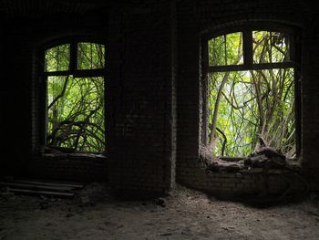 Abandoned window