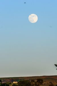 Low angle view of moon against clear blue sky