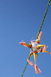 Colorful mexican piñata hanging from a green cable as christmas decor