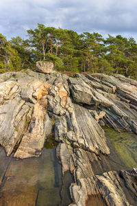 Rock formation amidst trees in forest against sky