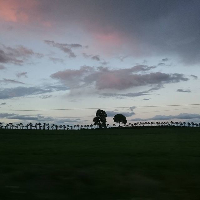 sky, landscape, silhouette, field, tranquility, tranquil scene, cloud - sky, scenics, nature, beauty in nature, sunset, grass, cloud, cloudy, tree, men, idyllic, outdoors, unrecognizable person