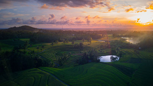 Beautiful morning view indonesia panorama landscape paddy fields 